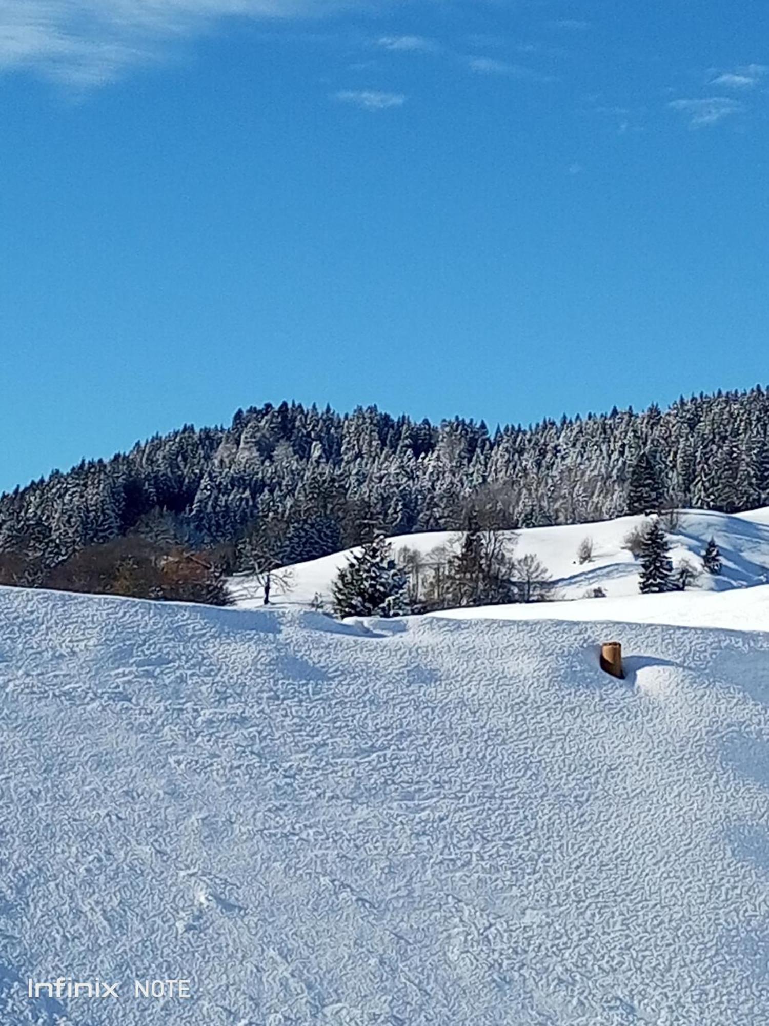 Allgaeu Vibes - Fusslaeufige Erreichbarkeit Vom Bahnhof, Mit Aussicht, Wettergeschuetzter Balkon Oberstaufen Exterior foto